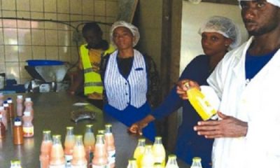 Cameroun-PME  : le gouvernement facilite le processus de certification