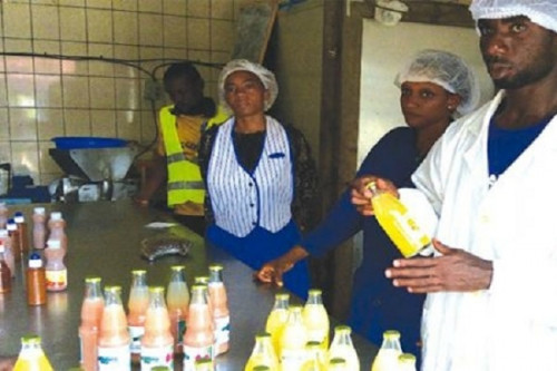 Cameroun-PME  : le gouvernement facilite le processus de certification