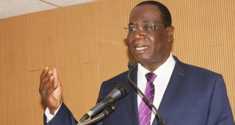 Transformation structurelle de l’industrie ivoirienne : Ahoua N’Doli livre sa recette