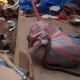 Abengourou : Un serpent s’introduit dans les locaux de la mairie, les pompiers civils le capturent et le relâchent…