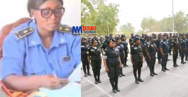 Un nouveau centre multifonctionnel pour la police dans le nord Cameroun.