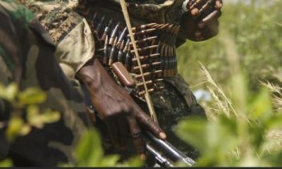 Cameroun : trois femmes et un bébé libérés des mains de Boko Haram