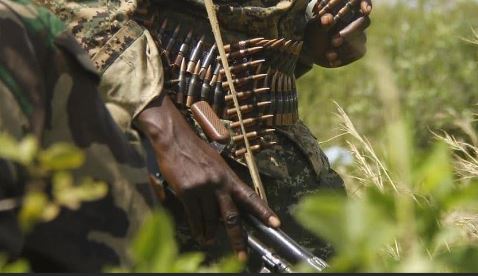 Cameroun : trois femmes et un bébé libérés des mains de Boko Haram