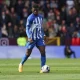 Pré-saison : Baleba et Brighton cartonnent Kashima Pré-saison : Baleba et Brighton cartonnent Kashima