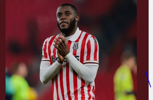 Tchamadeu et Stoke City en démonstration de force