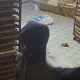 Insécurité à Yaoundé : Les bandits sèment la terreur devant des commerces
